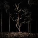 Camp half blood Icon