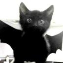 Community of freedom Icon