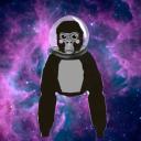 CosmicMonke Icon