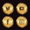 Social media growth Icon
