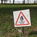 Developers Algerian Icon