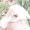 Rina’s Resort ♡ Icon