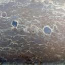 Investing Community Icon