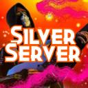 Silver Server Icon