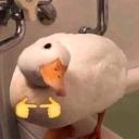 Sizzling Studs Steam Room Icon