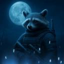 Racoon Kingdom Icon