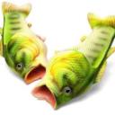 Fish Shoes Cult Icon