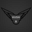 KUSH B Icon