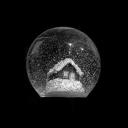 The Money Store Icon