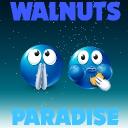 walnuts paradise Icon