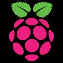 RaspBerry Romania Icon