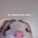 Polymath Friends ES Icon