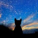 Dusk of Little Nova Icon