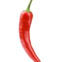 Spice nation Icon
