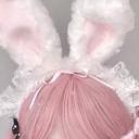 ˚ ₊ /) /) ₊ ✩ ｡ Icon