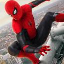 The Spiderverse: Spiderman RP Icon