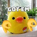 The Kung Pao sanctuary Icon