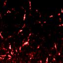 Harsh Noise Discord Icon