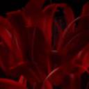 The Realm {18+} Icon