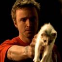 Sugar Haven India Icon