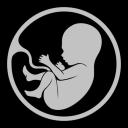 Abortion Abolitionism Icon