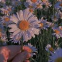 2014-2021 vibes :3 Icon