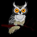 NightOwls8 Icon
