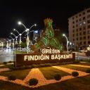 Giresun Icon