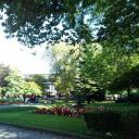 Emotional Freedom Radio - Live Icon