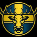 SvenskaTider Roleplay Icon