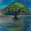 Camping Alliance Icon