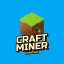 CRAFTMİNER Icon