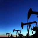 Amazon Price Glitches & Flash De Icon