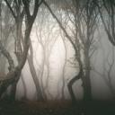 House Of Puppet’s Icon