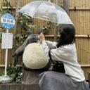 ₍ᐢᐢ₎   ₊   velora   ⁺ Icon