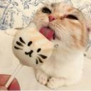 ꒰/ᐠ - ˕ •マ꒱ Icon