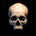 Anime Defenders Icon