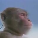 International language room Icon