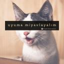 Düşmen Gerekiyordur Belkide Icon