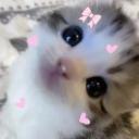 ☆valxcars! (18+) Icon