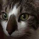 ErdemDİablo YouTube Icon