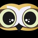Die Nachteulen Icon