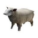 Crazy cattle competitive Icon