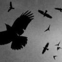 Mingle┃Active VC Server Icon