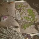 Enchantment & Spells Icon