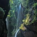 WIP guided rains (wings of fire) Icon