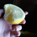 A server of idiots Icon