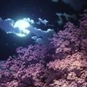 Valentine's Night Icon