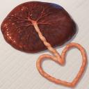 heart placenta Icon