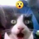 Sex isn't real (18+ hangout) Icon